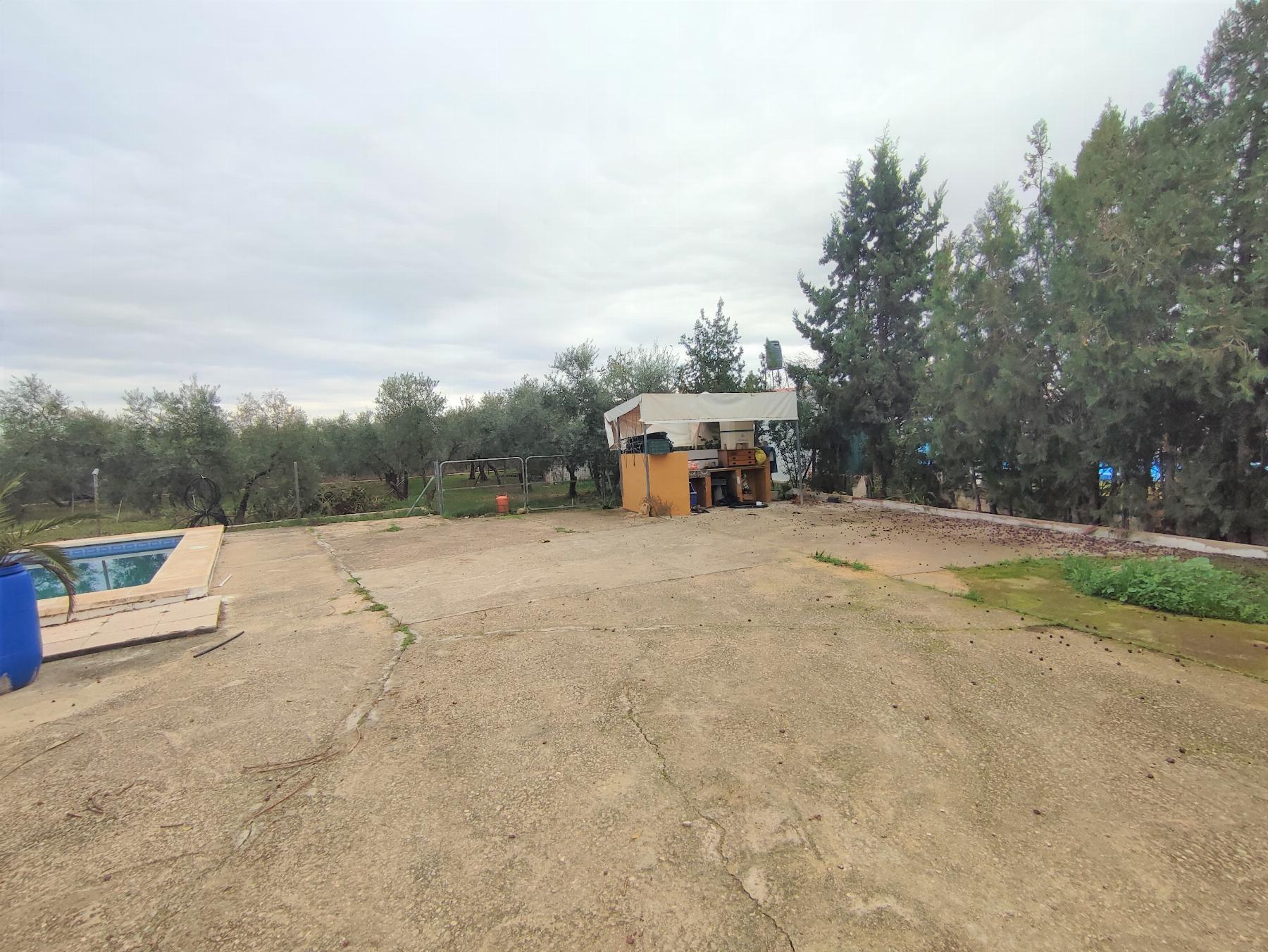 For sale of chalet in Morón de la Frontera