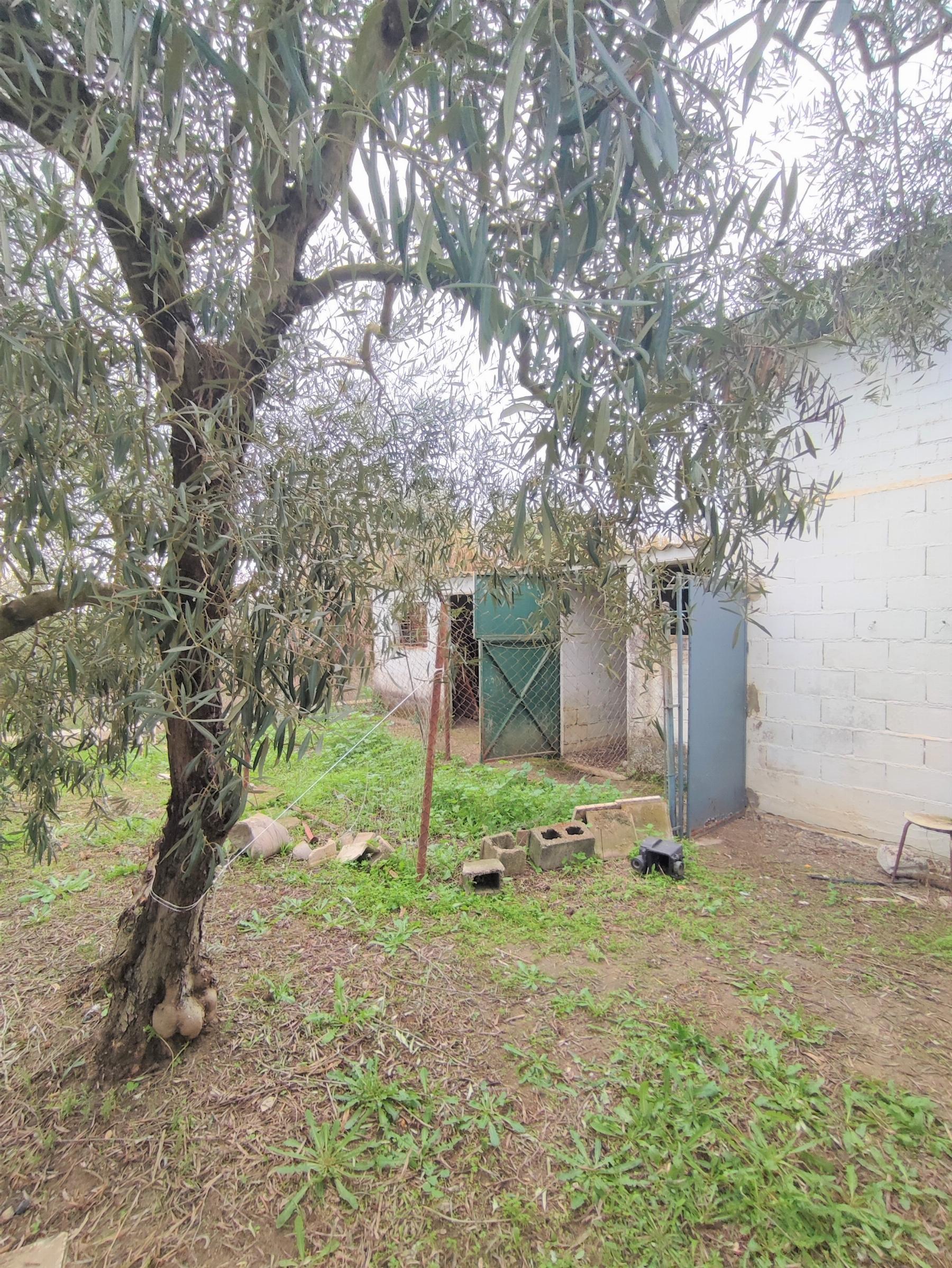 For sale of chalet in Morón de la Frontera