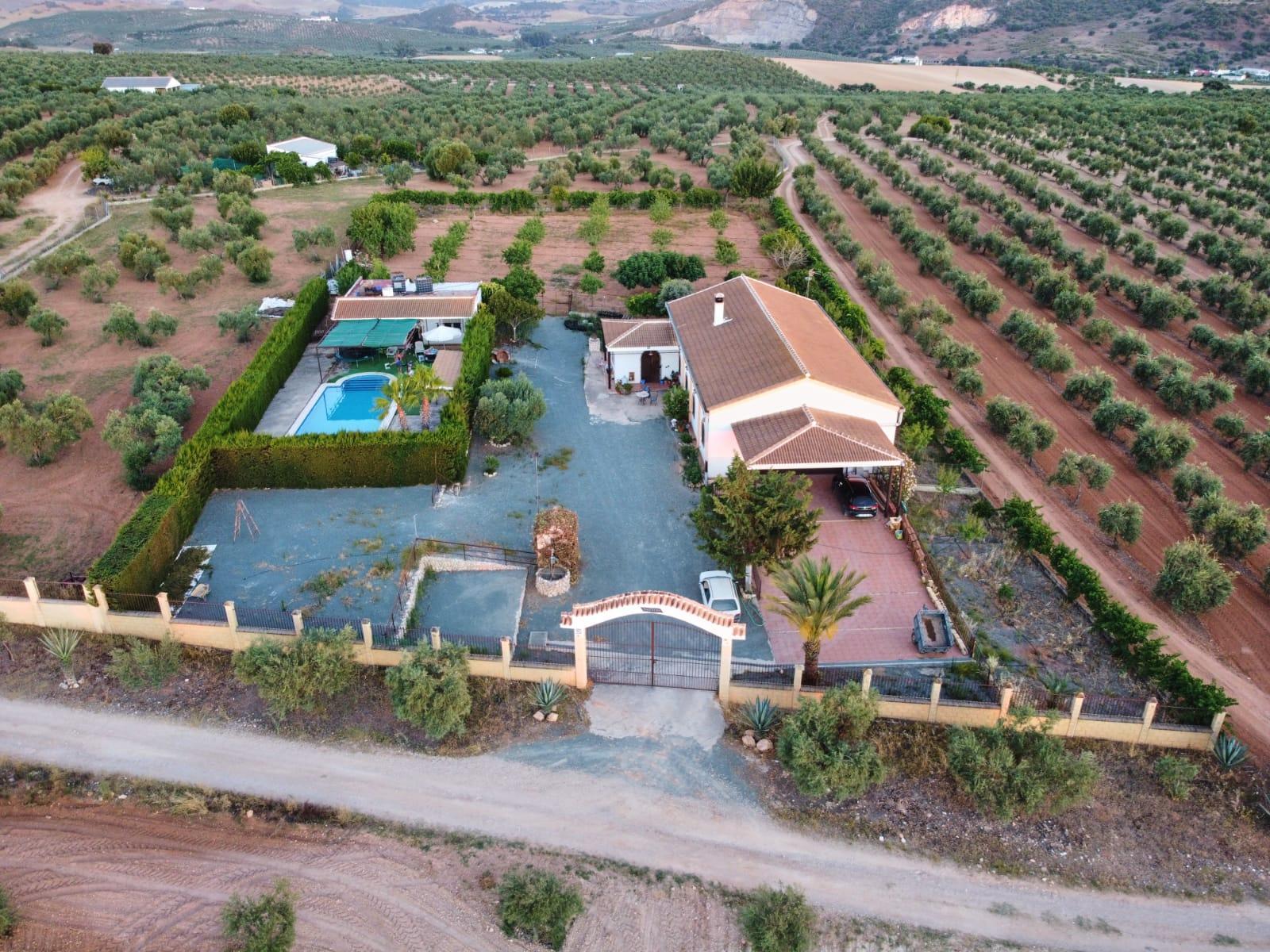 For sale of chalet in Morón de la Frontera