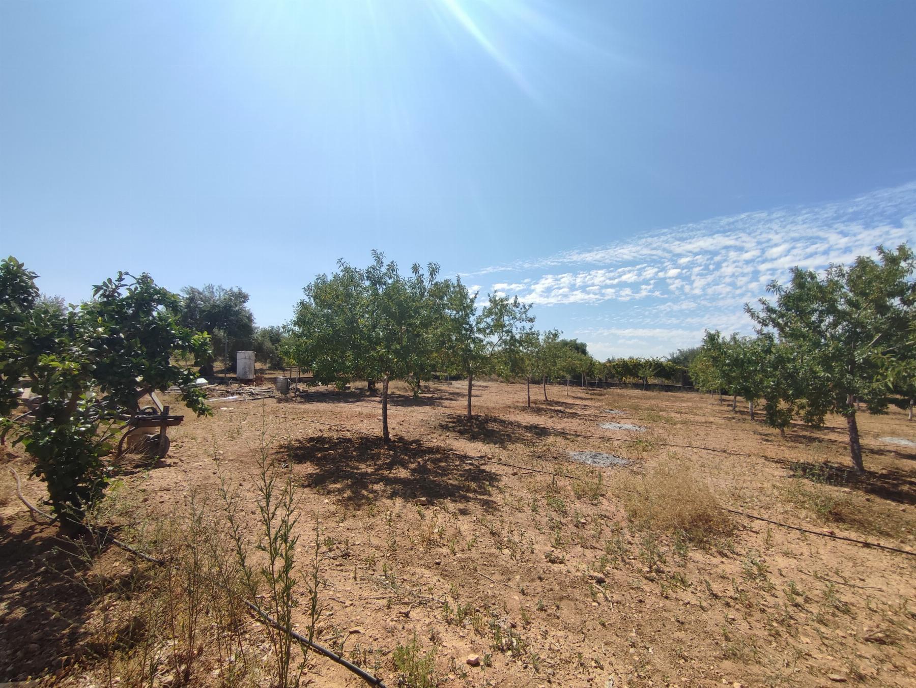 Venta de chalet en Morón de la Frontera