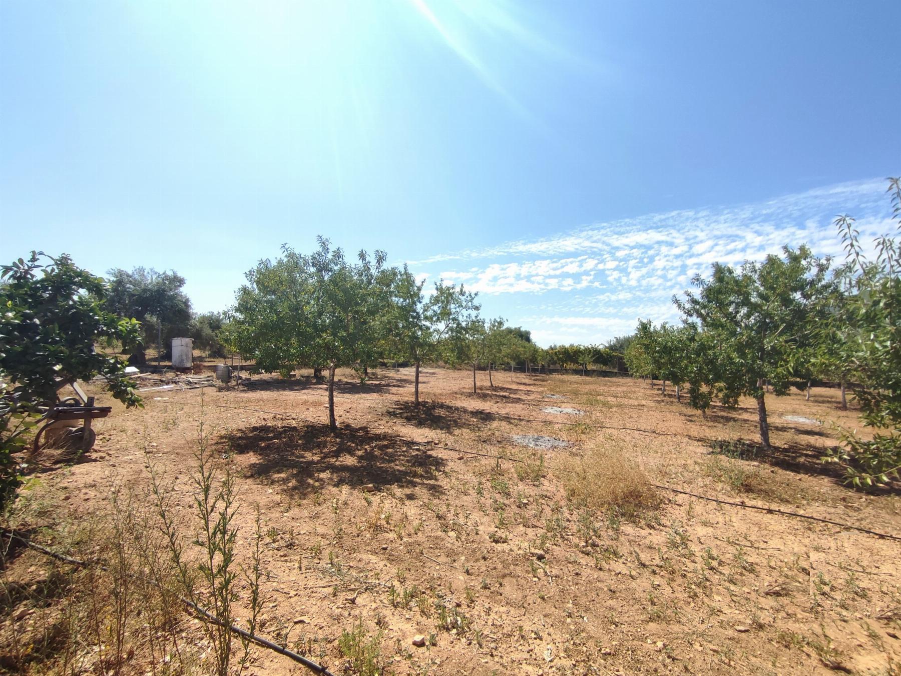 For sale of chalet in Morón de la Frontera