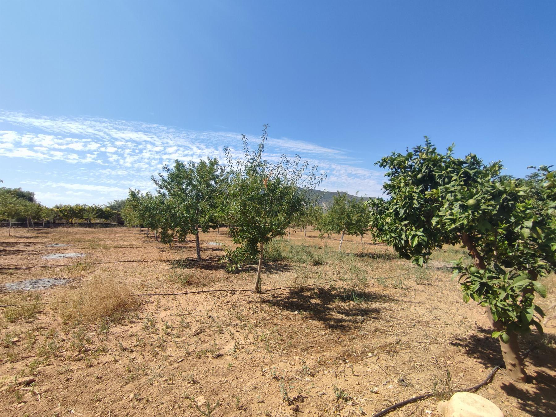 For sale of chalet in Morón de la Frontera