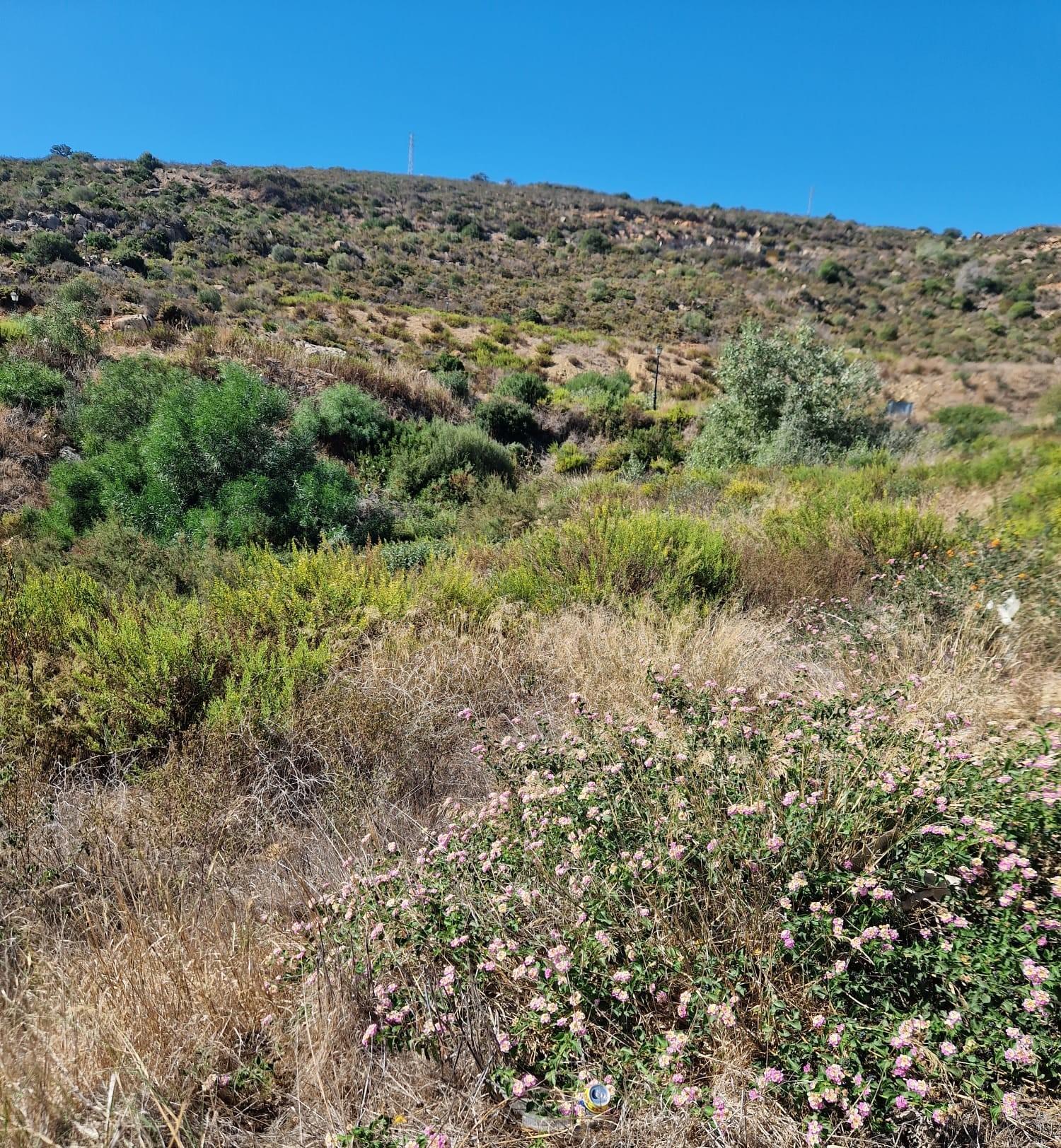 For sale of land in San Roque