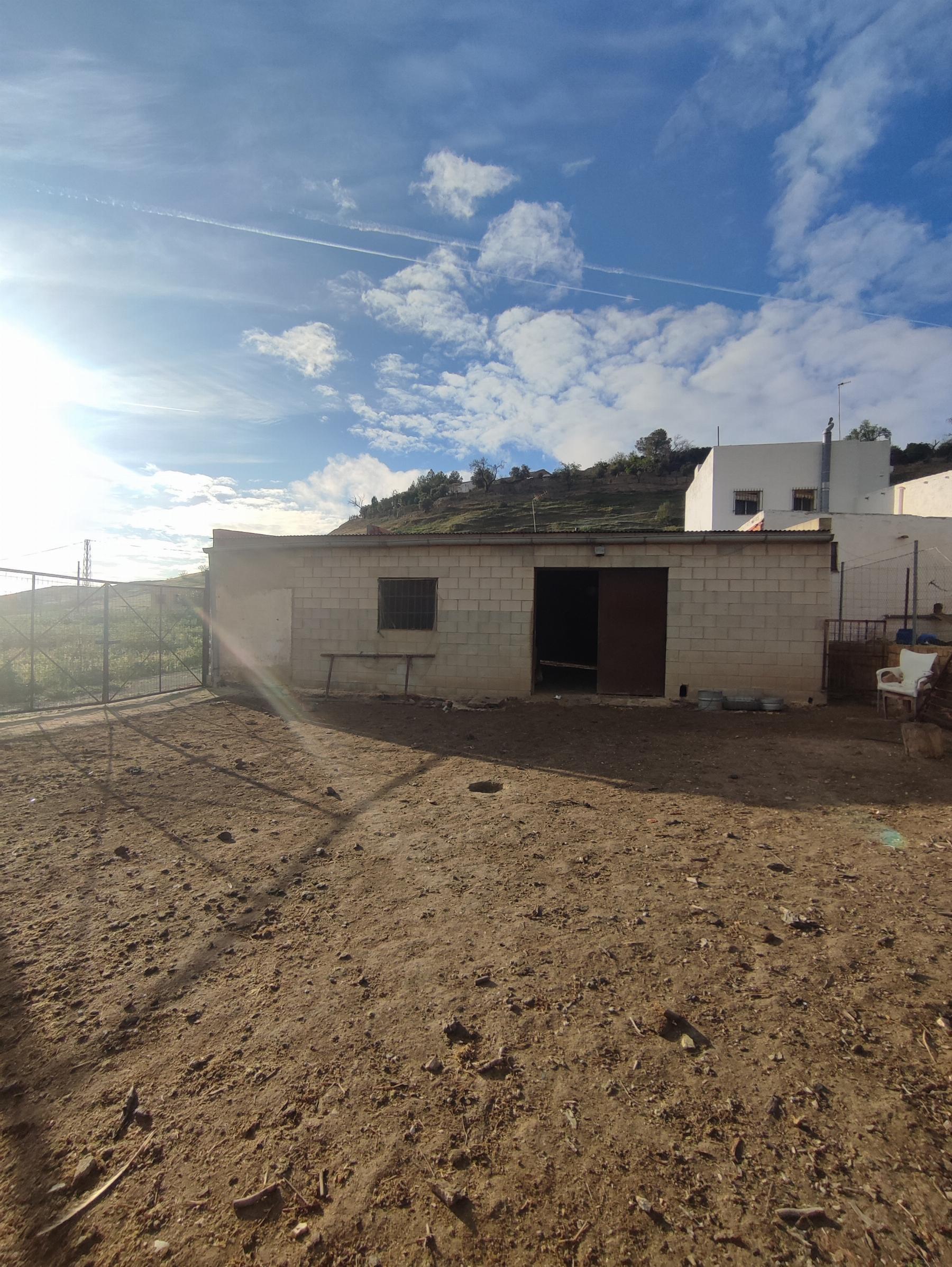 For sale of rural property in Morón de la Frontera