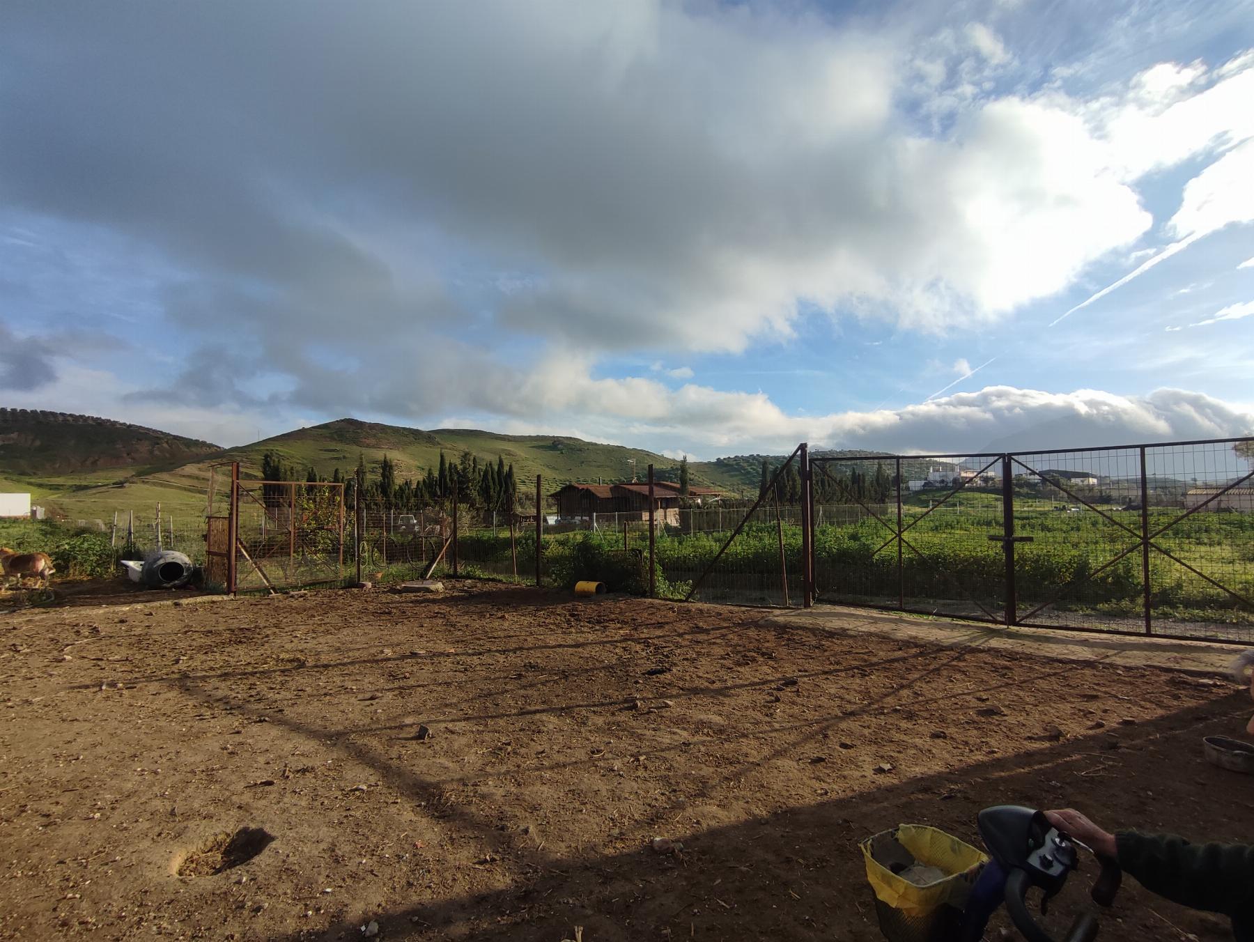 For sale of rural property in Morón de la Frontera