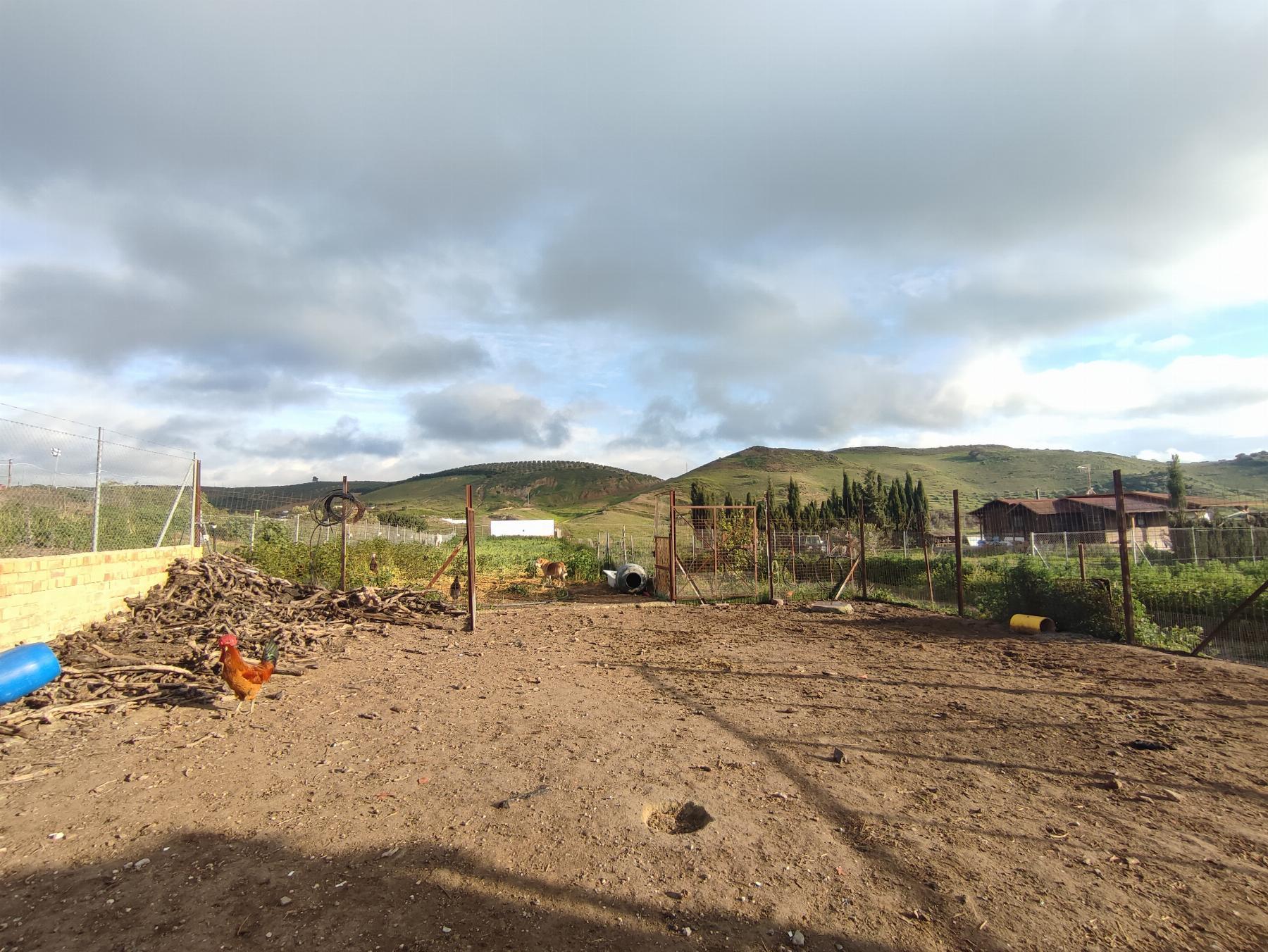 For sale of rural property in Morón de la Frontera