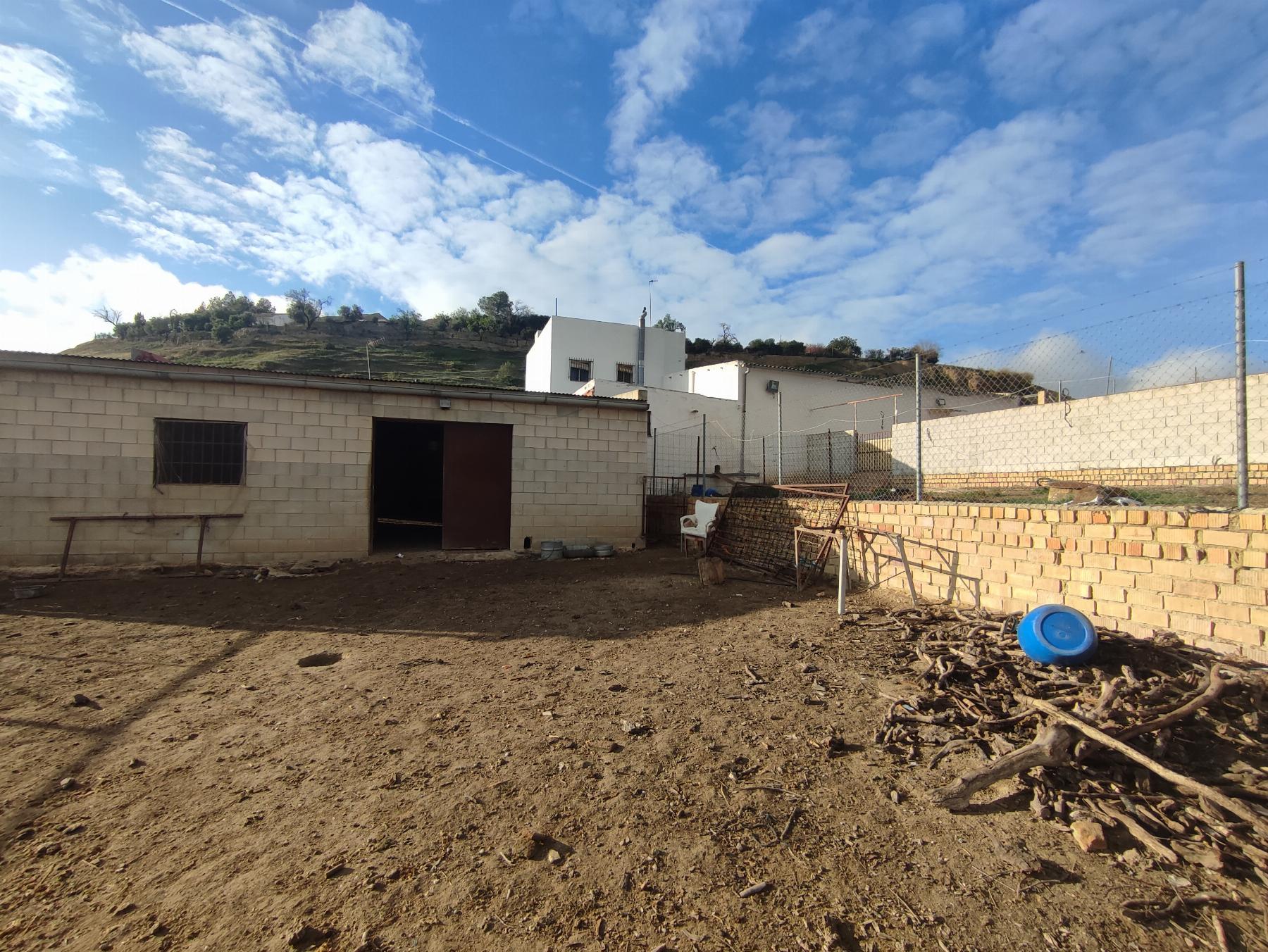For sale of rural property in Morón de la Frontera