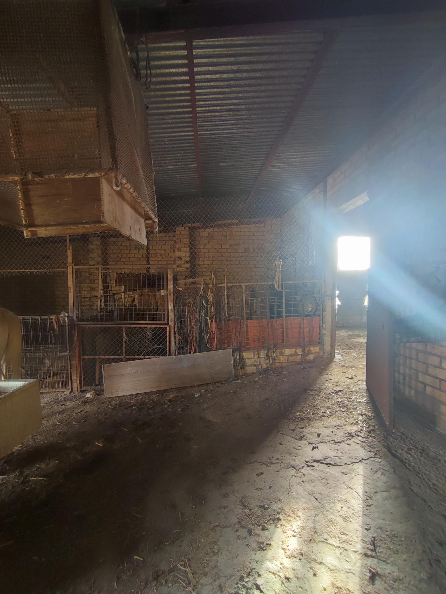 For sale of rural property in Morón de la Frontera