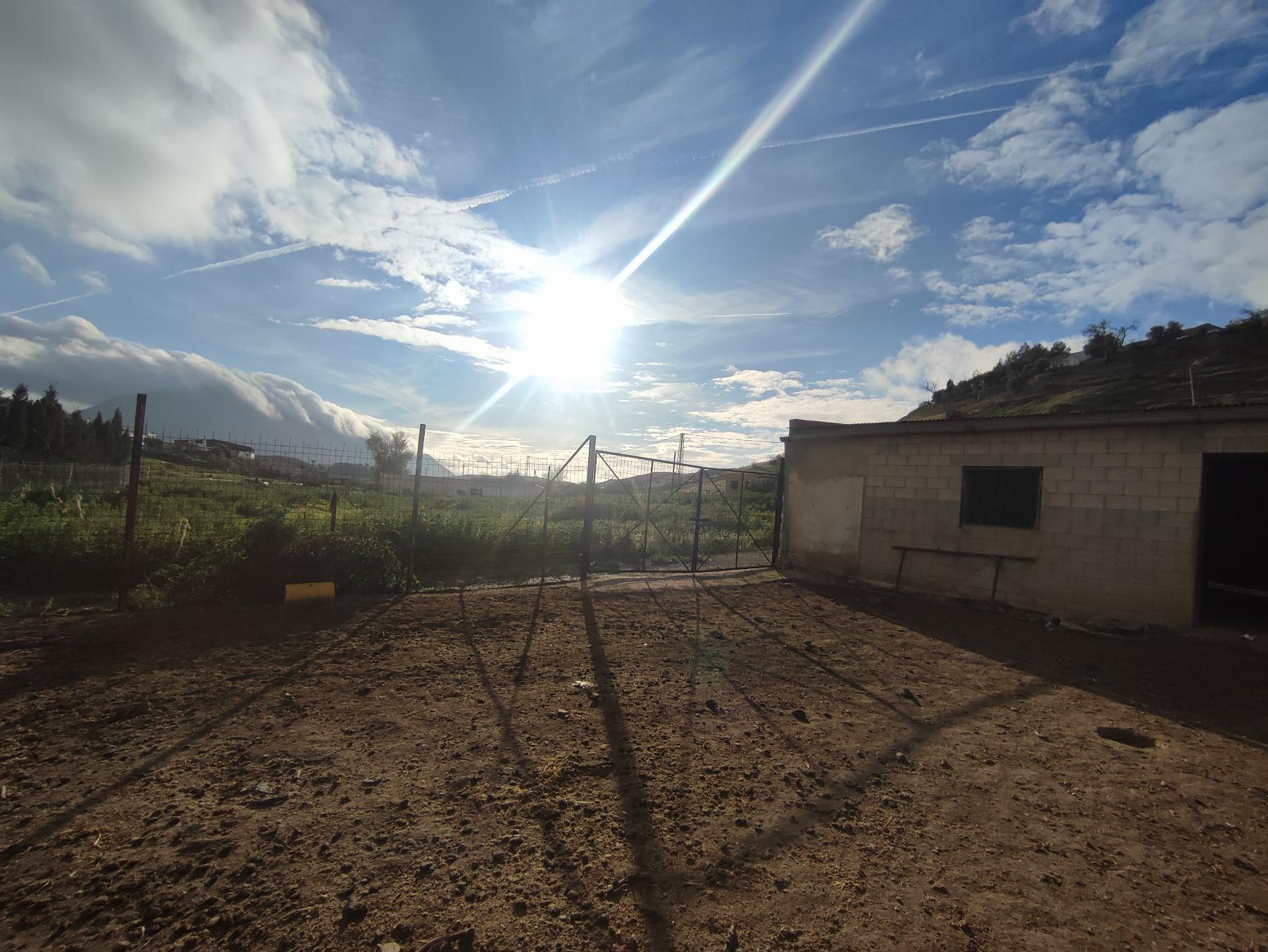 For sale of rural property in Morón de la Frontera