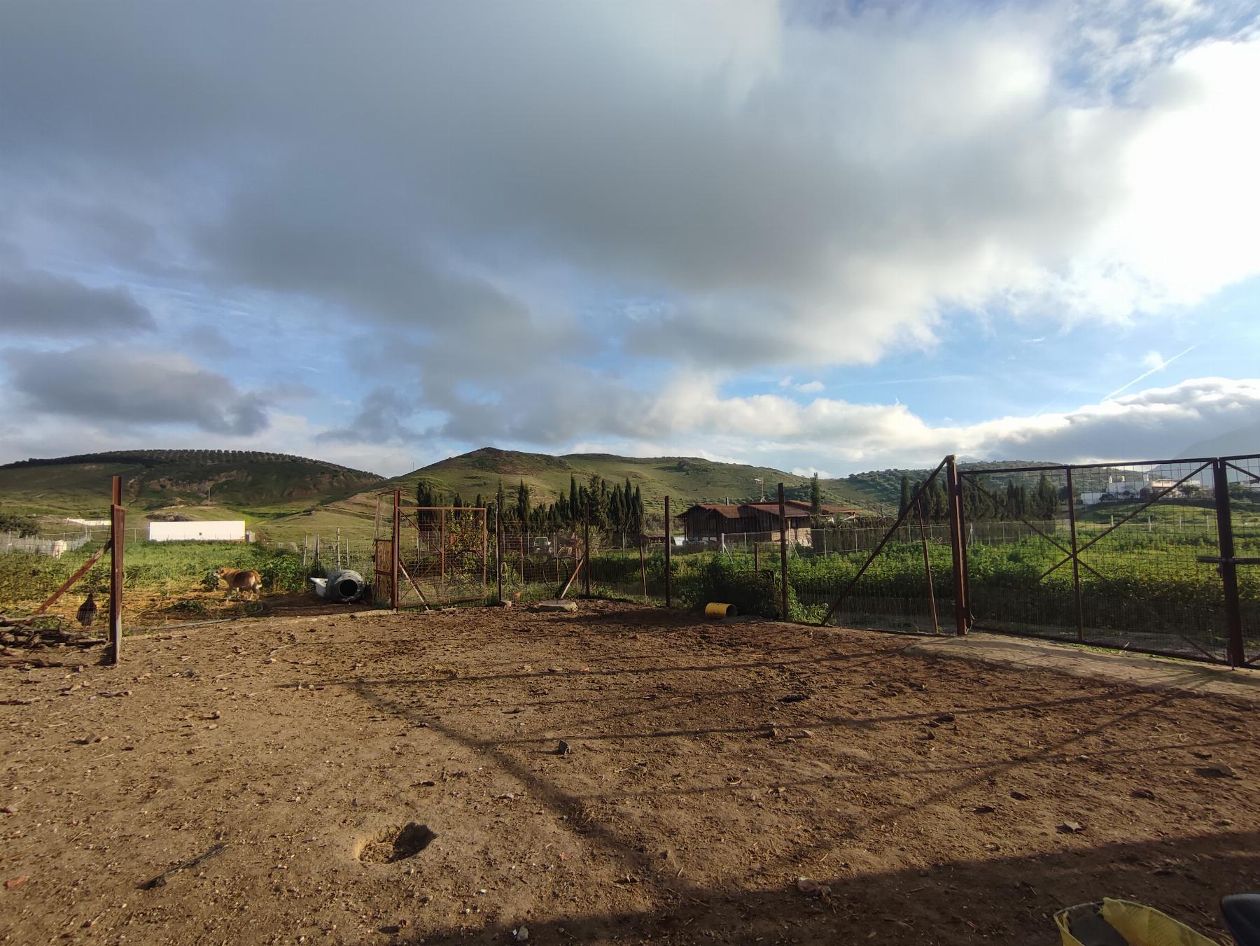 For sale of rural property in Morón de la Frontera