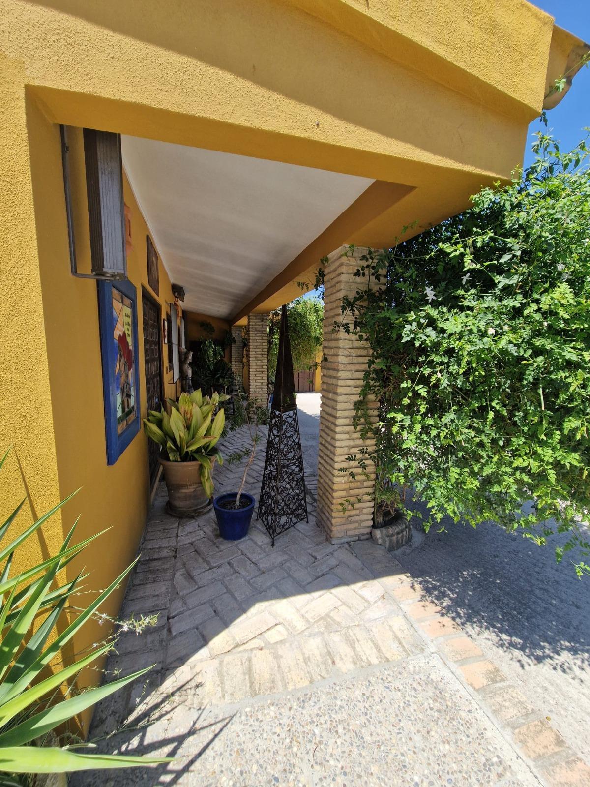 Venta de finca de recreo en Morón de la Frontera