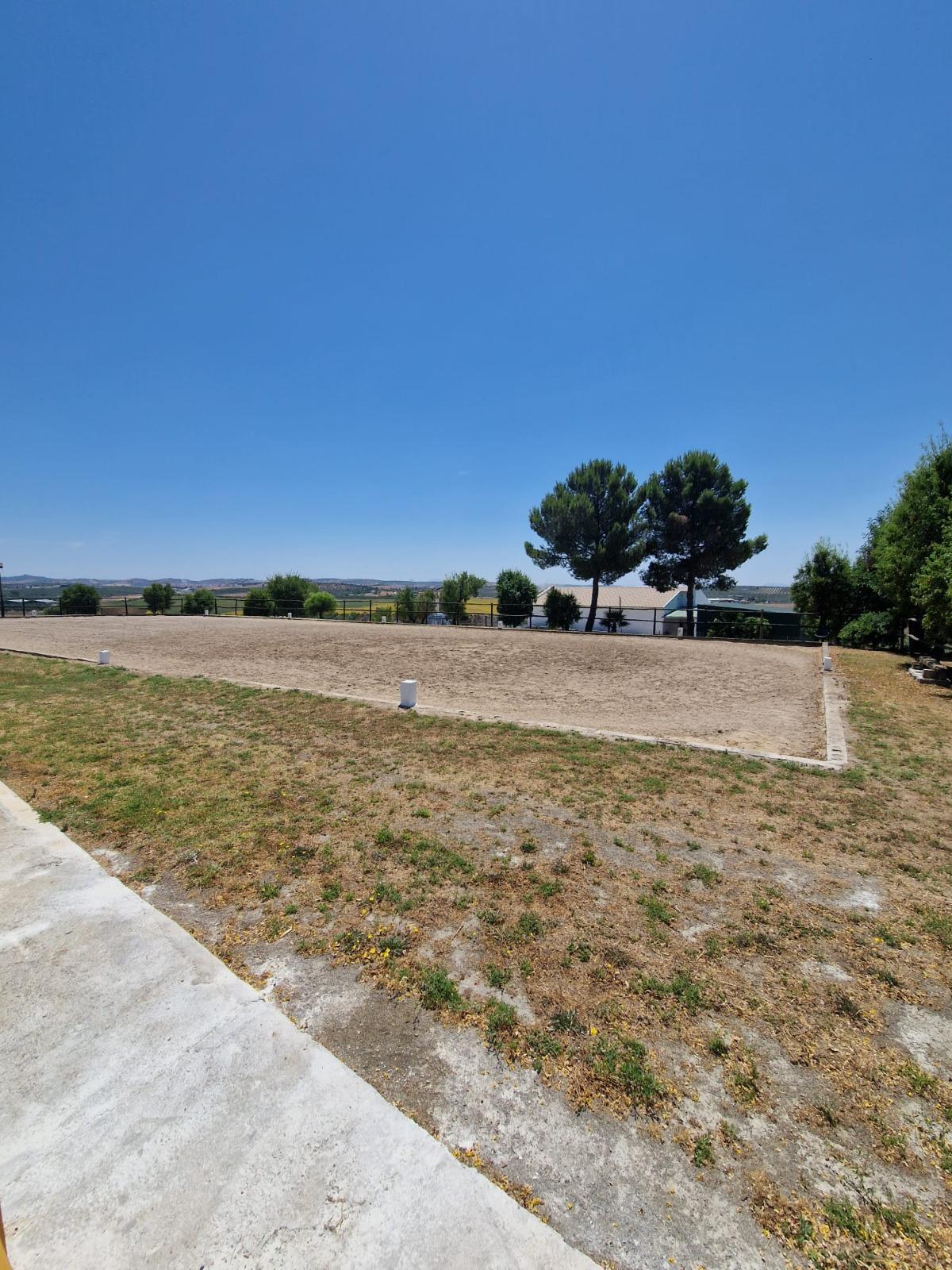 Venta de finca de recreo en Morón de la Frontera