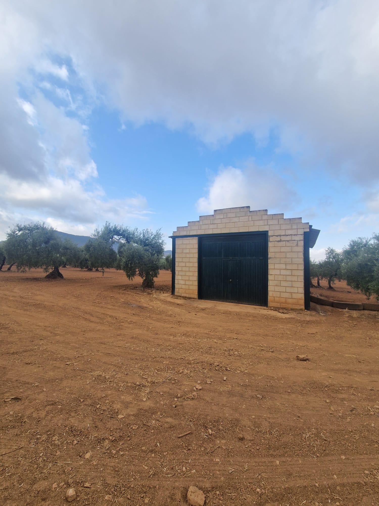 Venta de finca rústica en Morón de la Frontera