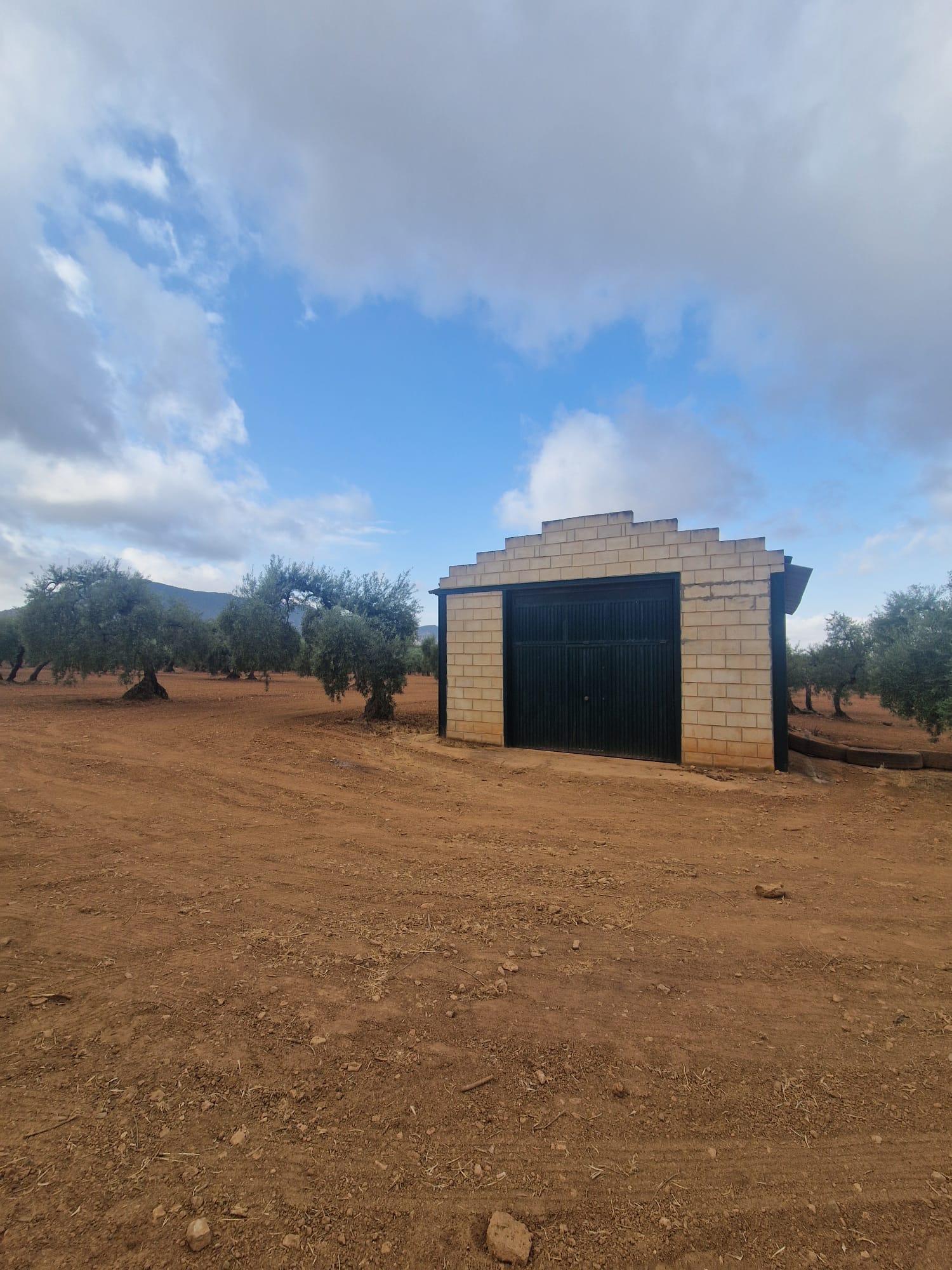 Venta de finca rústica en Morón de la Frontera