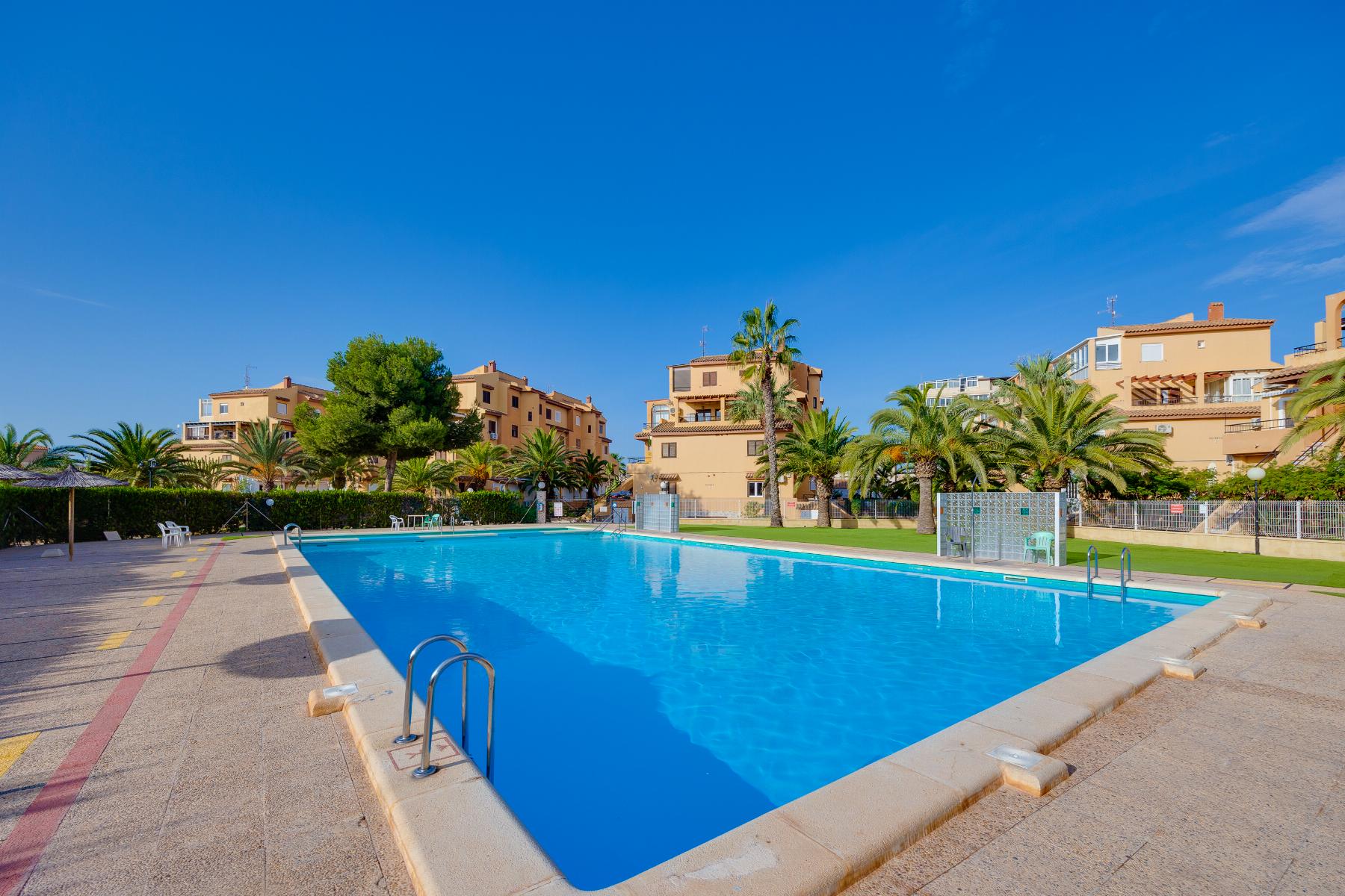 Miete von studio in
 Torrevieja