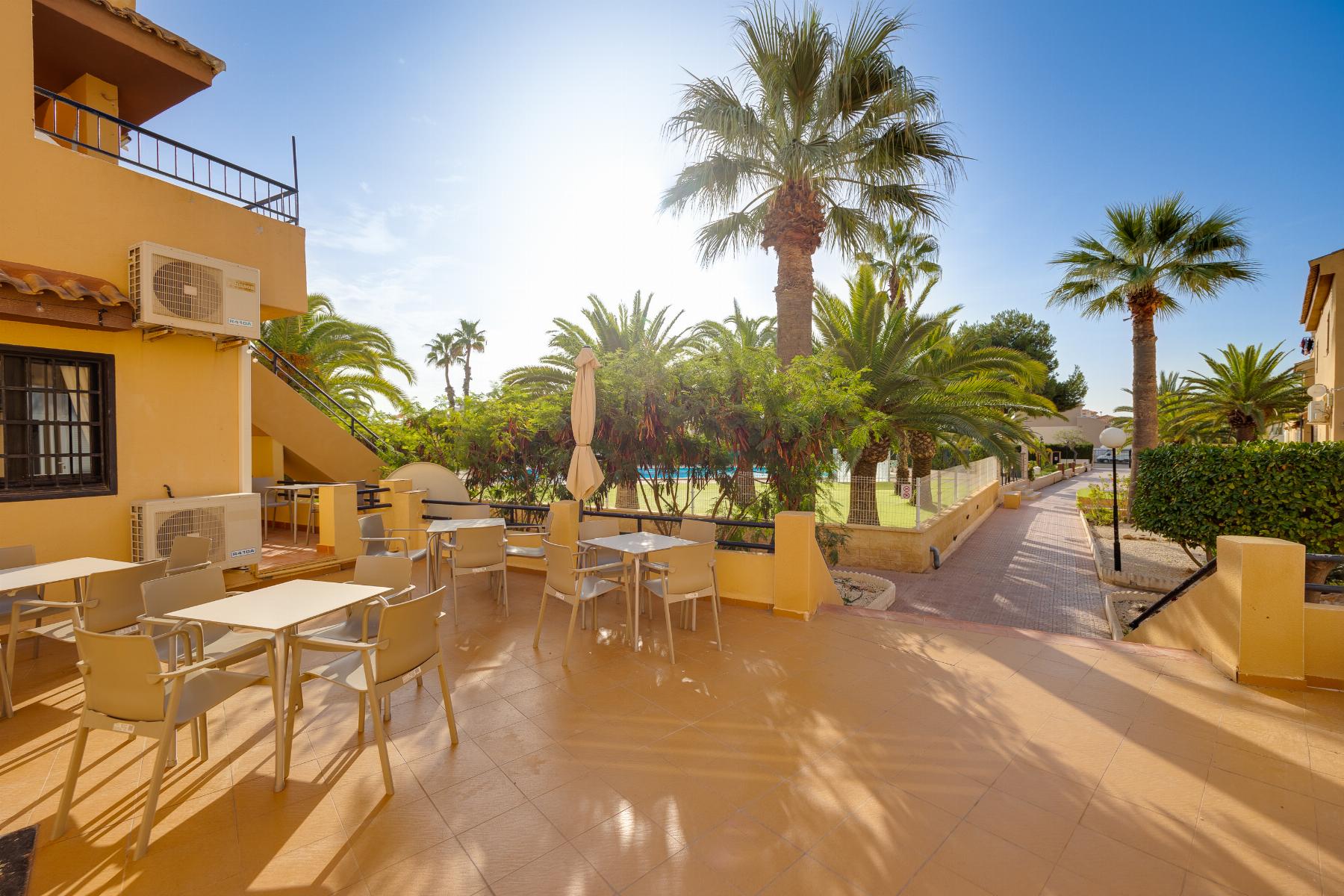 Miete von studio in
 Torrevieja