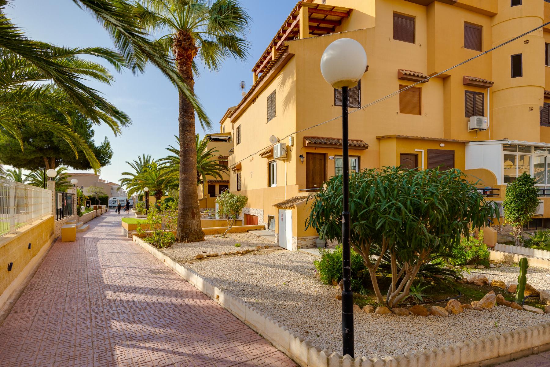 Miete von studio in
 Torrevieja