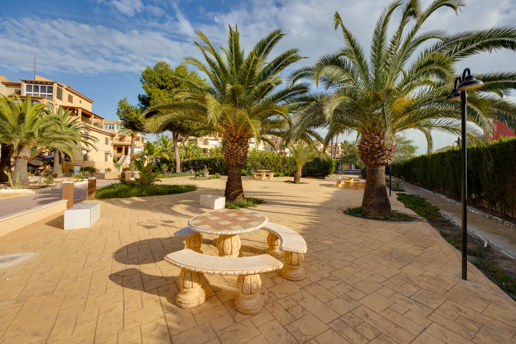 Miete von studio in
 Torrevieja