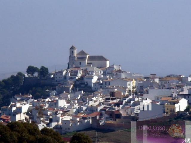 For sale of land in Alozaina