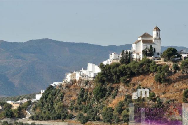 For sale of land in Alozaina