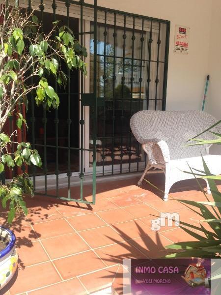 Alquiler de piso en San Pedro de Alcántara