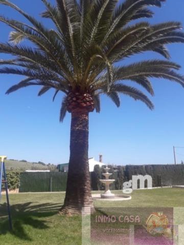 For sale of chalet in Estepona