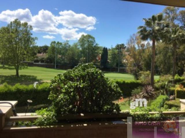 For rent of flat in San Pedro de Alcántara