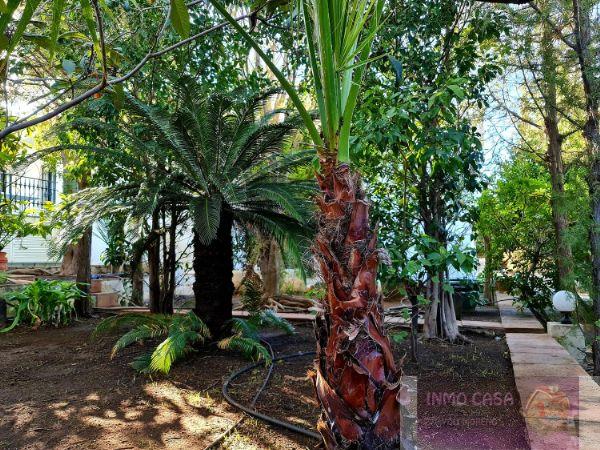 Alquiler de villa en Alhaurín de la Torre