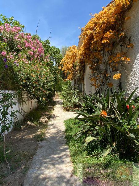 Alquiler de chalet en Marbella