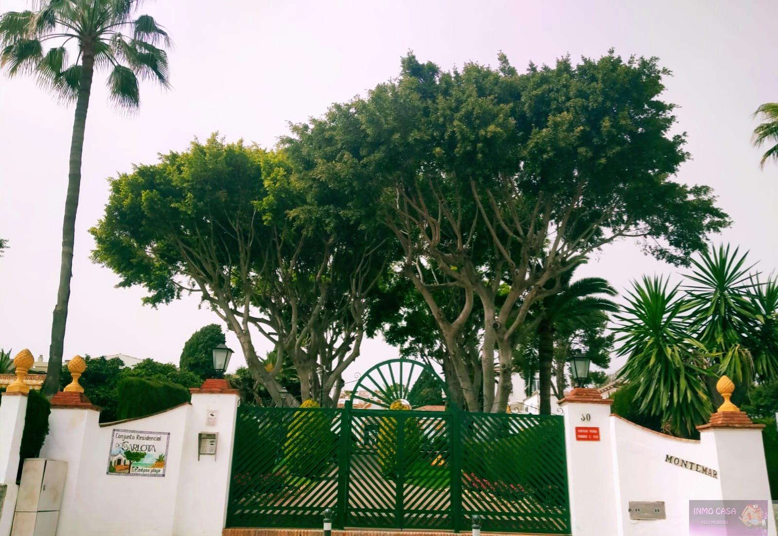 For rent of apartment in Torremolinos