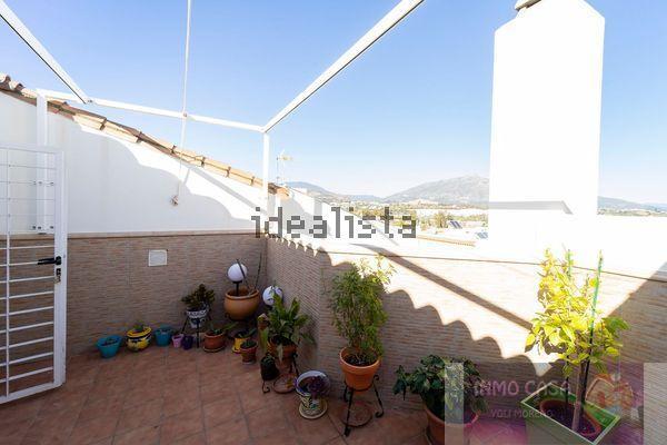 Alquiler de Ático en San Pedro de Alcántara