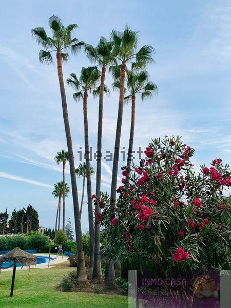 For rent of flat in Mijas
