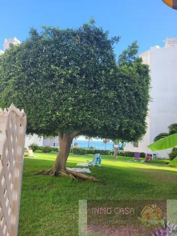 Alquiler de piso en Marbella
