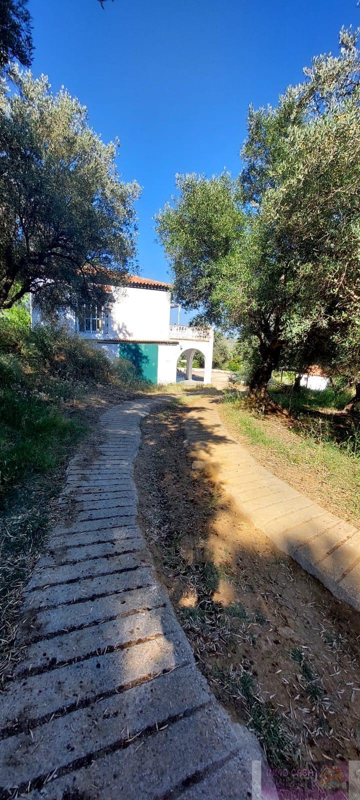 Alquiler de habitación en Marbella