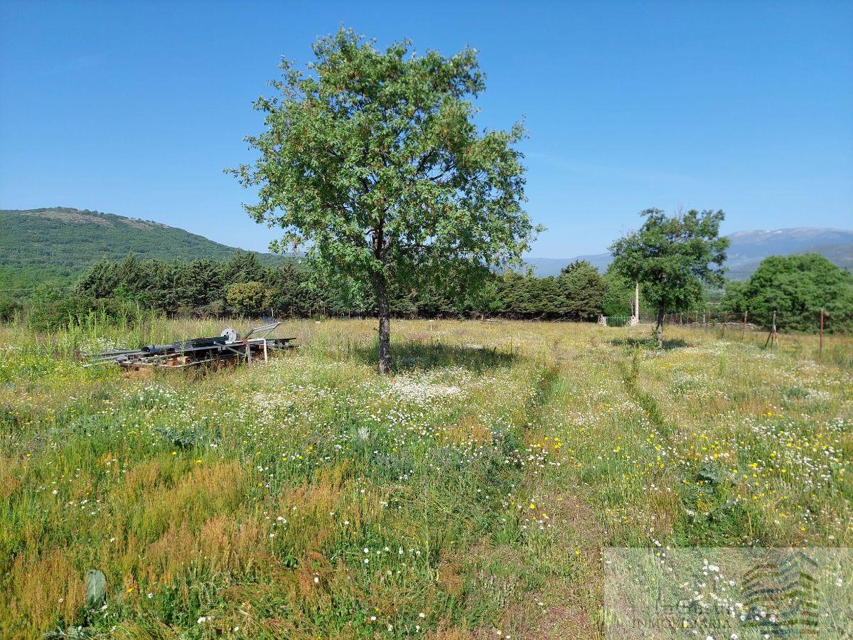 For sale of land in Garganta de los Montes