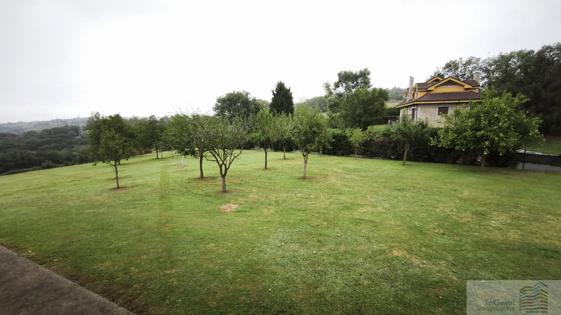 Venta de casa en Oviedo