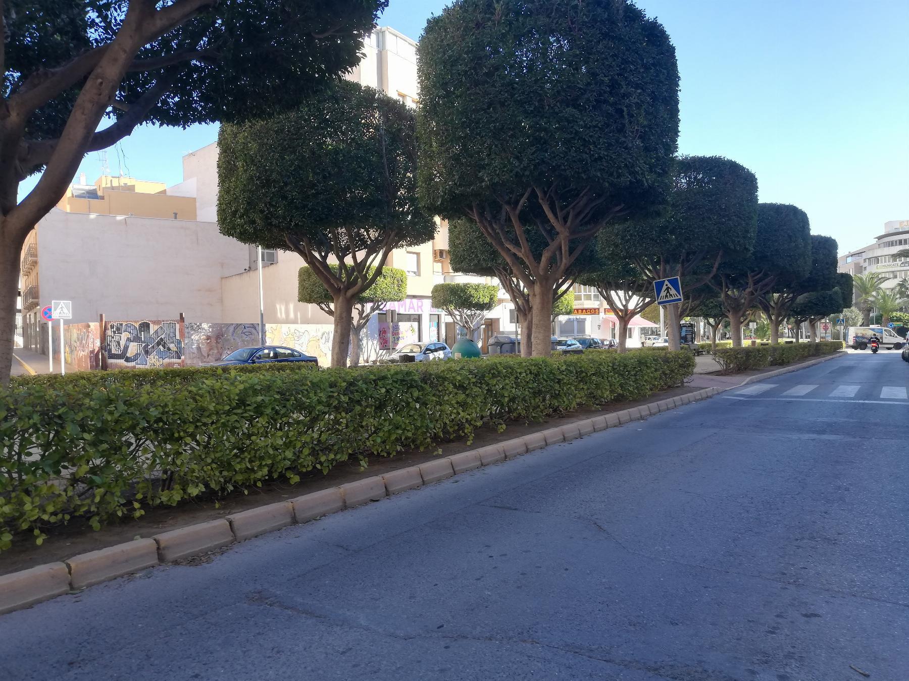 For sale of office in El Ejido