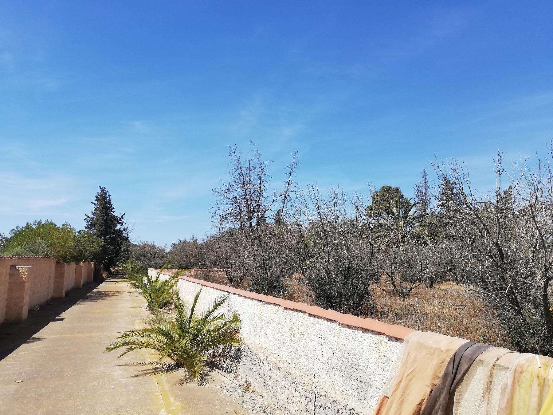 For sale of  in Níjar