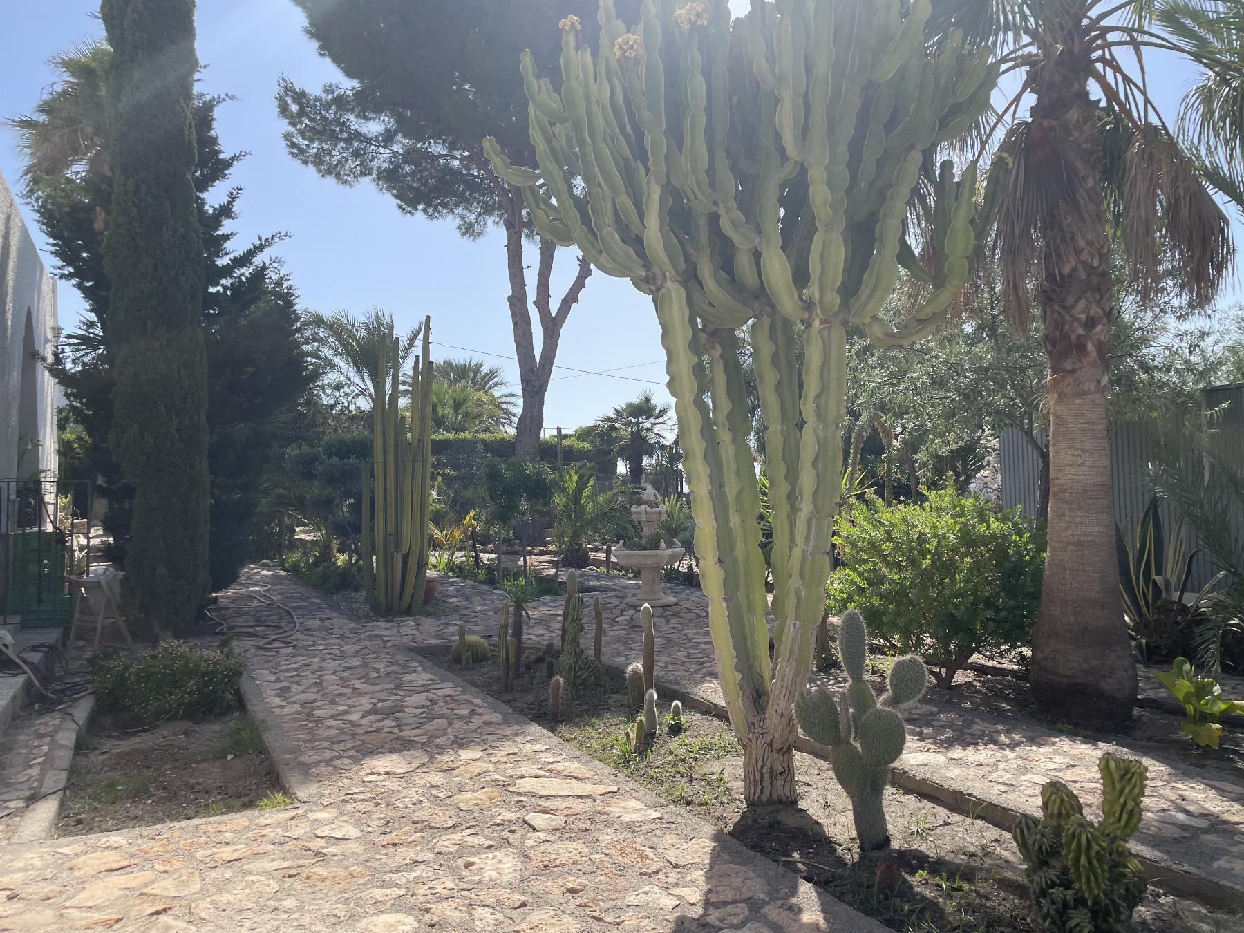 For sale of chalet in Aguadulce