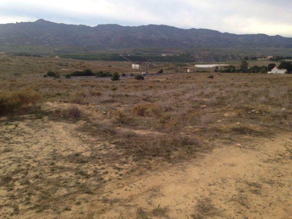For sale of land in Los Gallardos