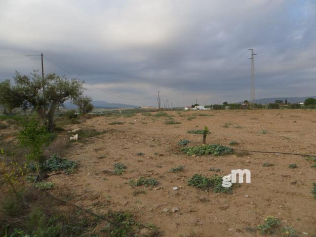 For sale of rural property in Los Gallardos