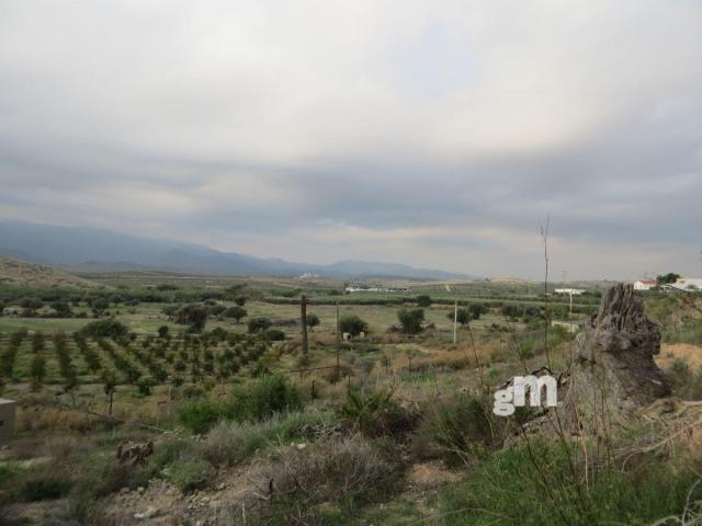 For sale of rural property in Los Gallardos