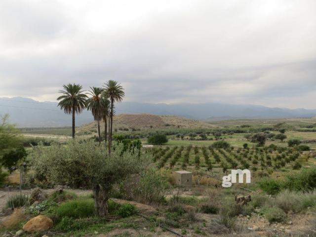 For sale of rural property in Los Gallardos
