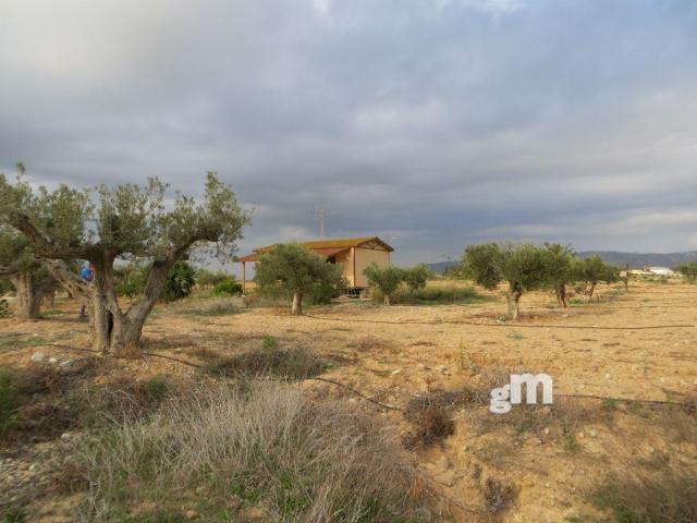For sale of rural property in Los Gallardos