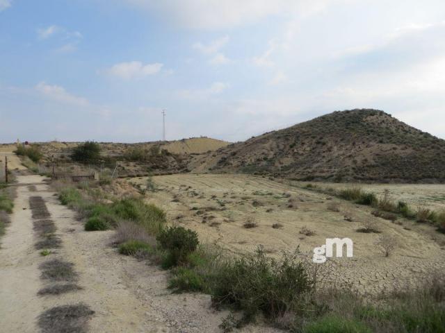 For sale of rural property in Los Gallardos