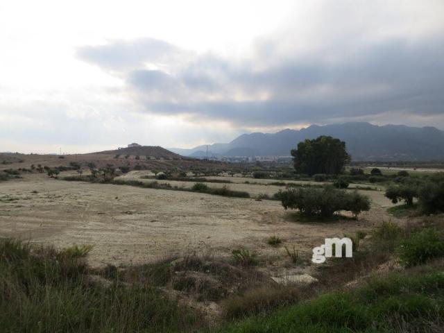 For sale of rural property in Los Gallardos