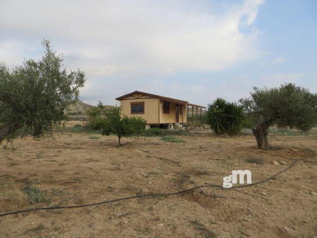 For sale of rural property in Los Gallardos