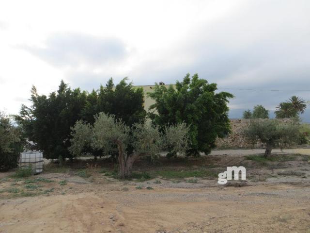 For sale of rural property in Los Gallardos