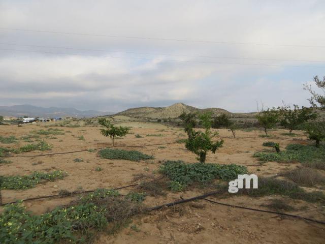 For sale of rural property in Los Gallardos