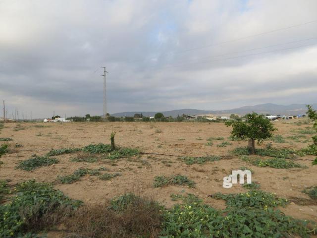 For sale of rural property in Los Gallardos